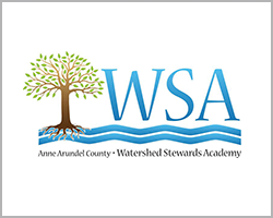 anne arundel county watershed stewards academy