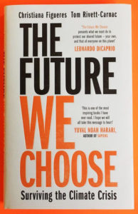the future we choose book cover
