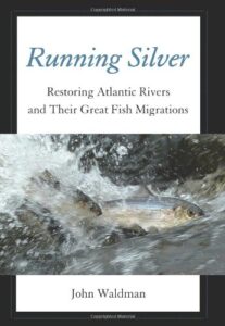 running silver cover