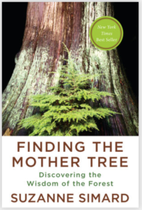 finding the mother tree book cover