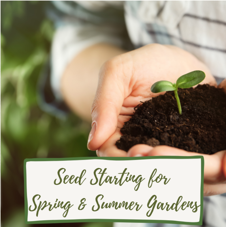 seed starting for spring & summer gardens