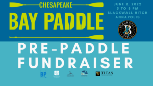 bay paddle fundraiser image