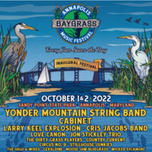bay grass music festival poster