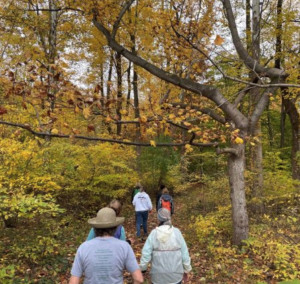 hikers in the fall forest