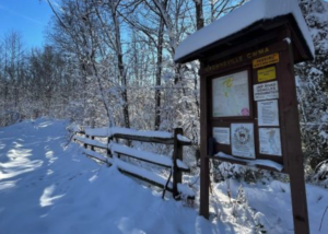 winter trail scene